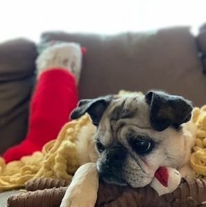 Meet your Posher, Wendy